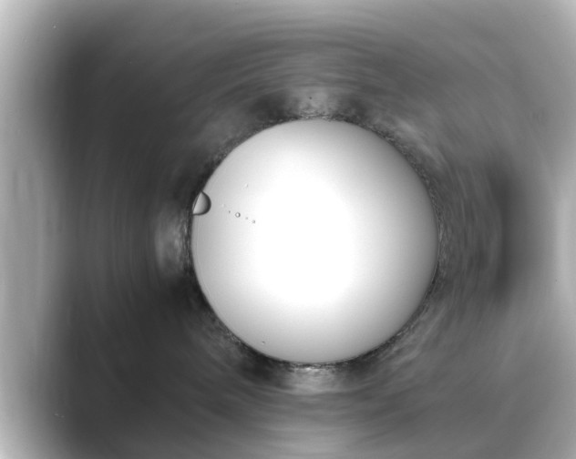 X0000089400240200706221123