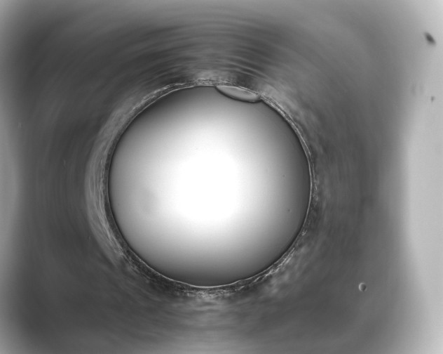 X0000089400241200706221122