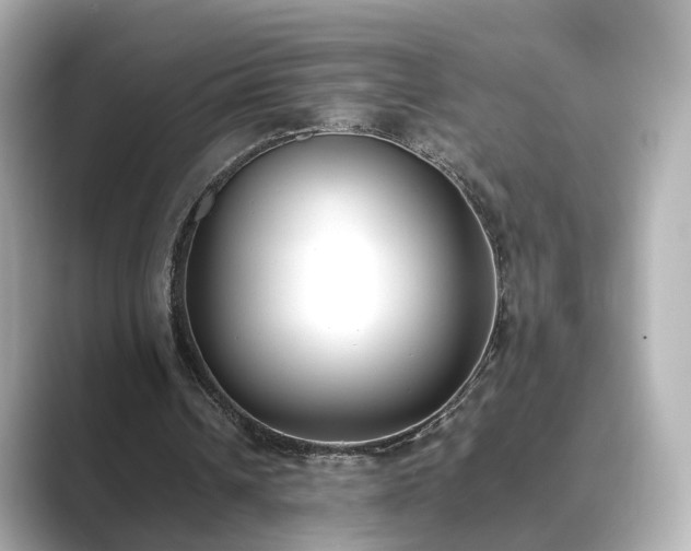 X0000089400242200706221122