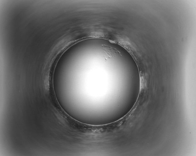 X0000089400243200706221122