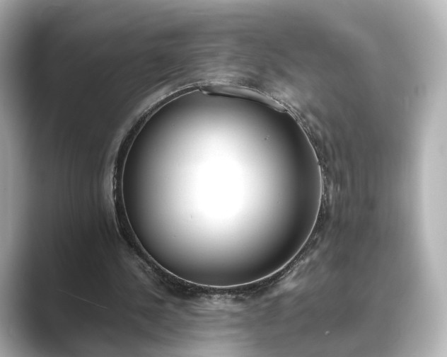 X0000089400244200706221122