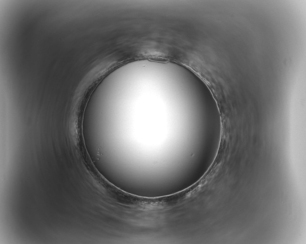 X0000089400245200706221122