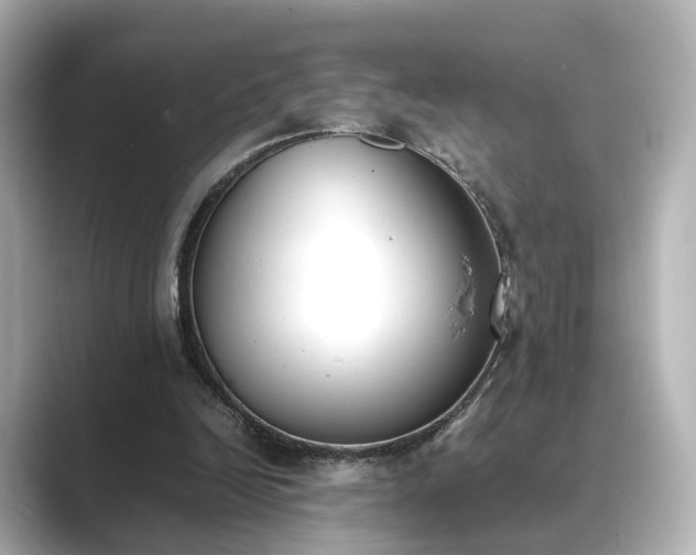 X0000089400246200706221122