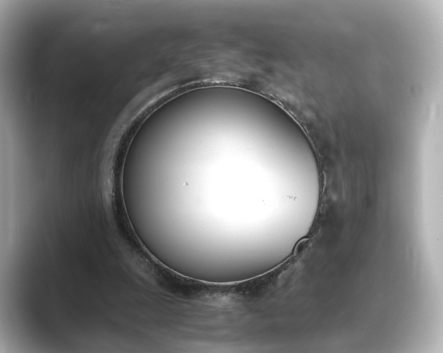 X0000089400247200706221122