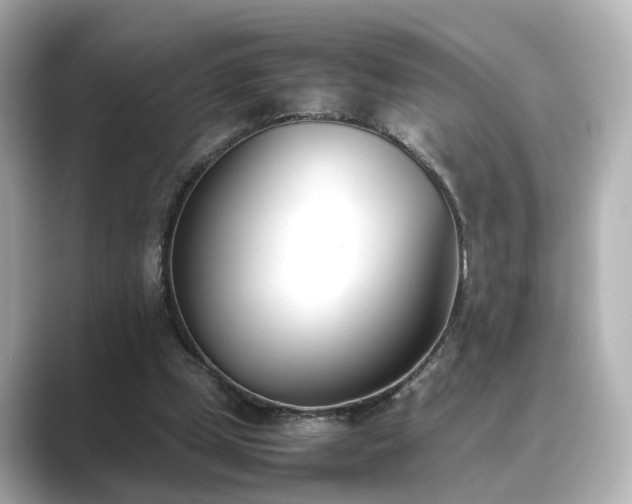 X0000089400249200706221122