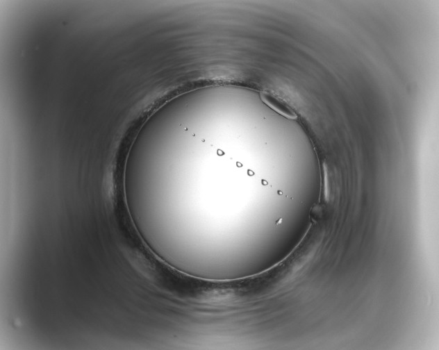 X0000089400252200706221122