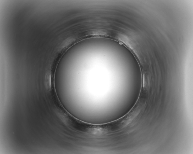 X0000089400253200706221122