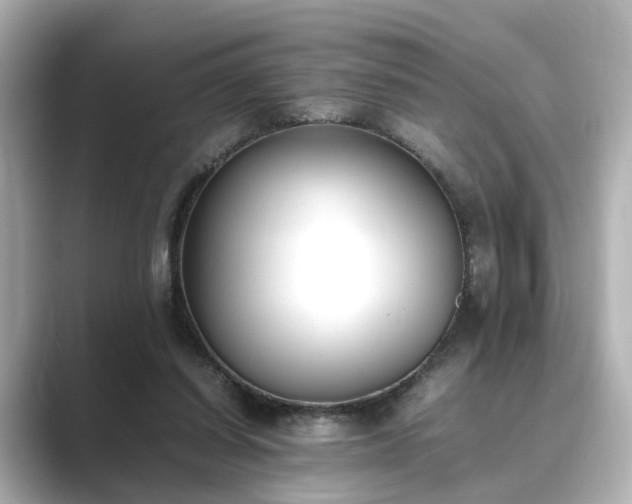 X0000089400254200706221122