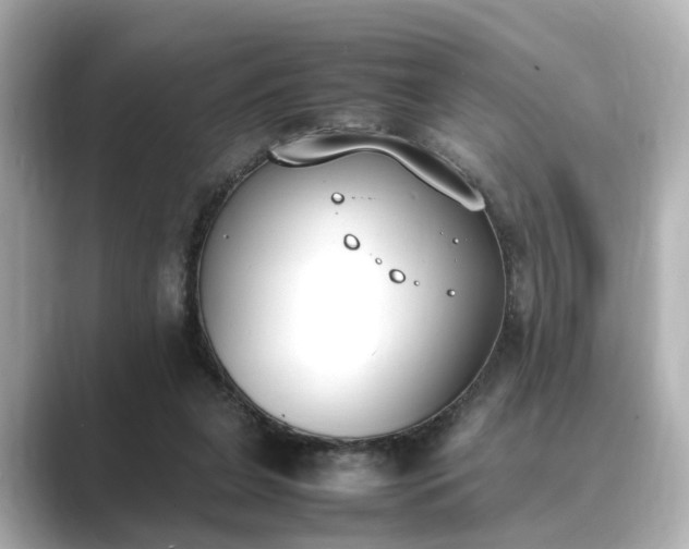 X0000089400255200706221122