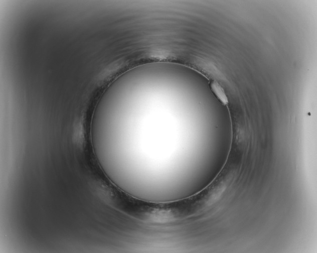 X0000089400256200706221122