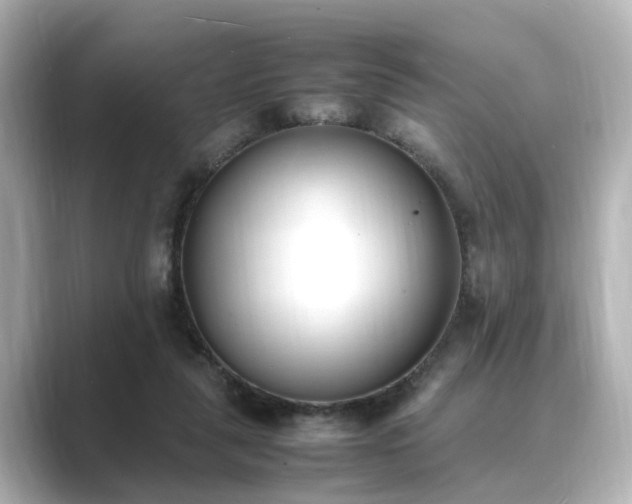 X0000089400259200706221122