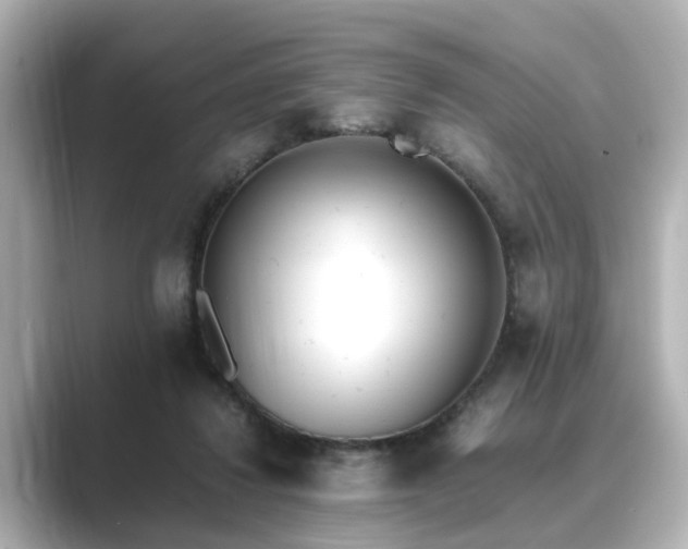 X0000089400260200706221122