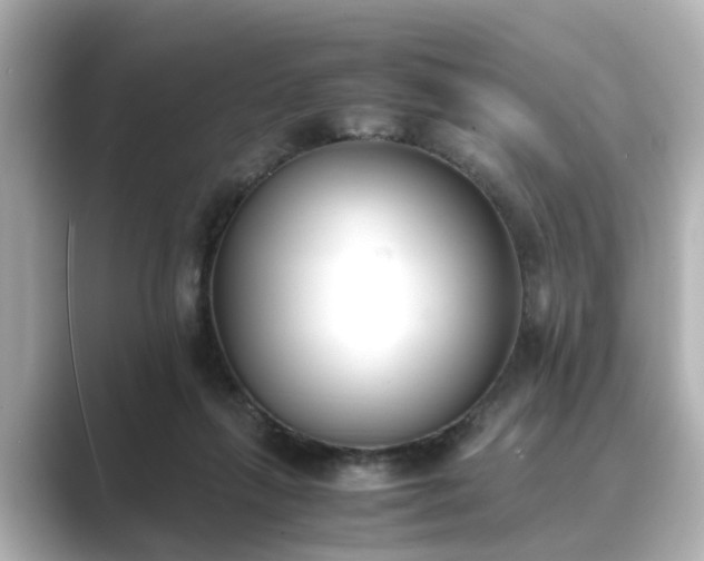 X0000089400263200706221123