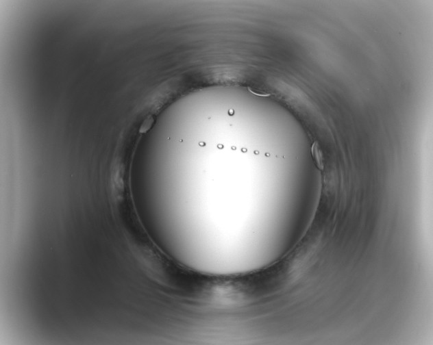 X0000089400264200706221123