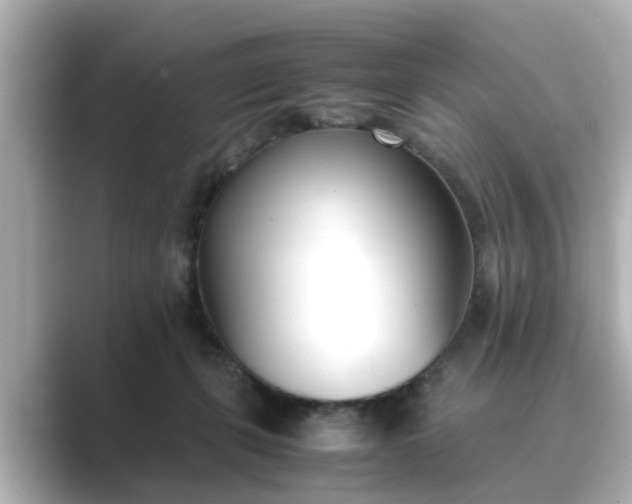 X0000089400271200706221123