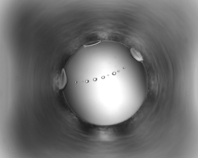 X0000089400275200706221123