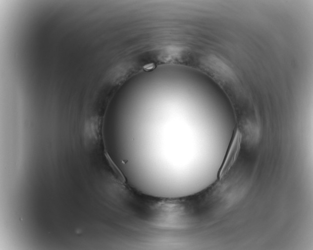 X0000089400280200706221123