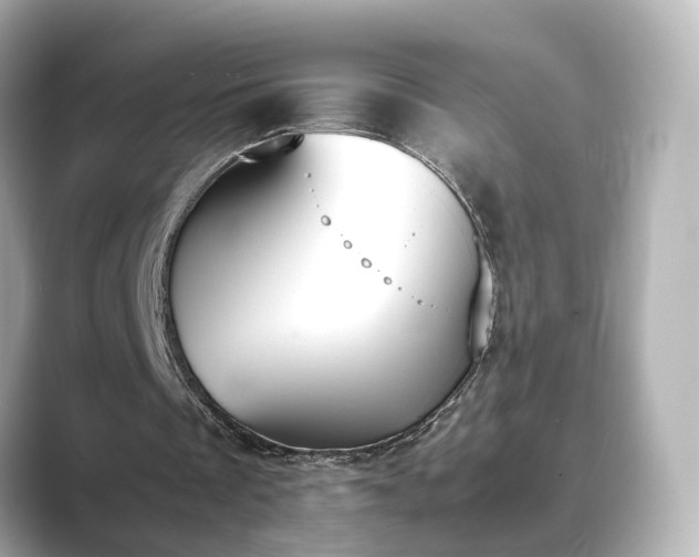 X0000089400289200706221122