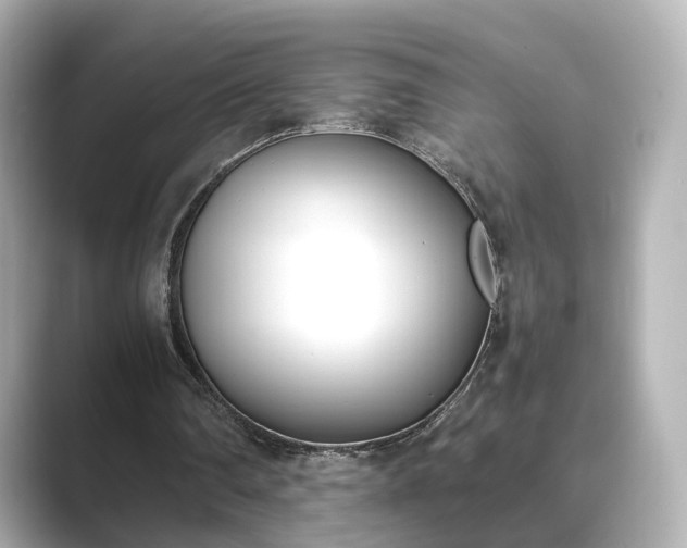 X0000089400290200706221122