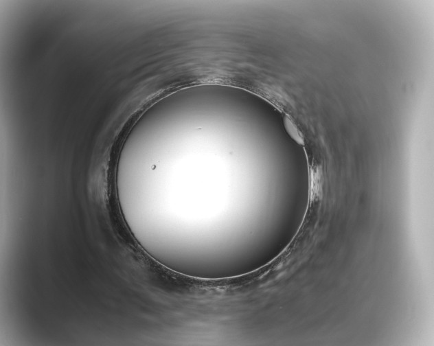 X0000089400291200706221122