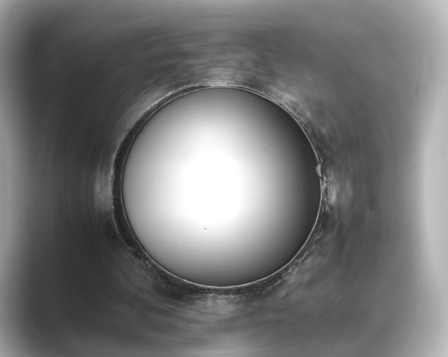 X0000089400292200706221122