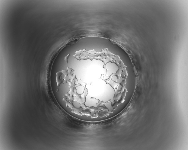 X0000089400293200706221122