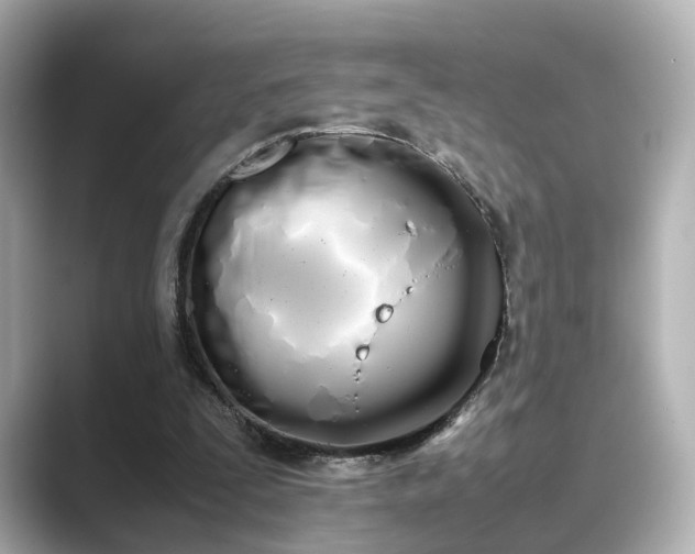 X0000089400295200706221122