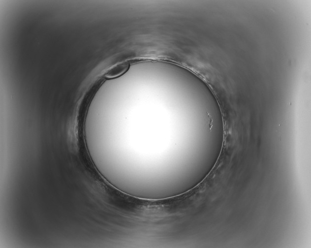 X0000089400296200706221122