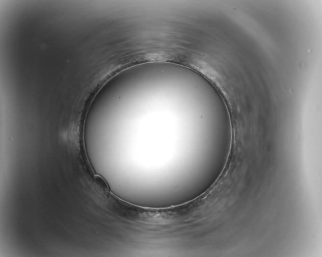 X0000089400297200706221122