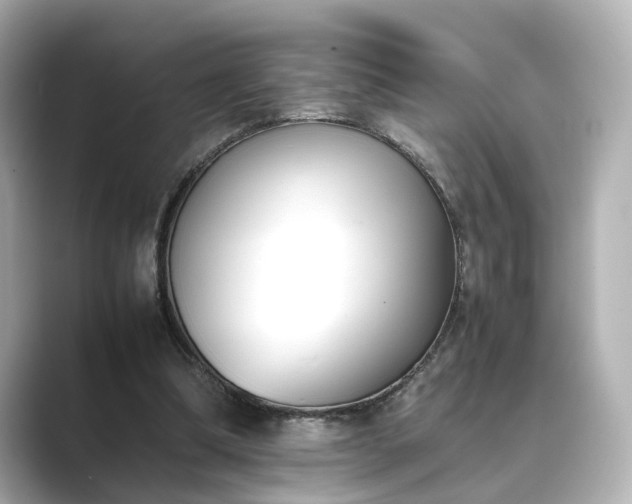 X0000089400298200706221122