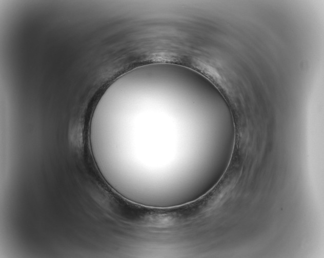 X0000089400299200706221122