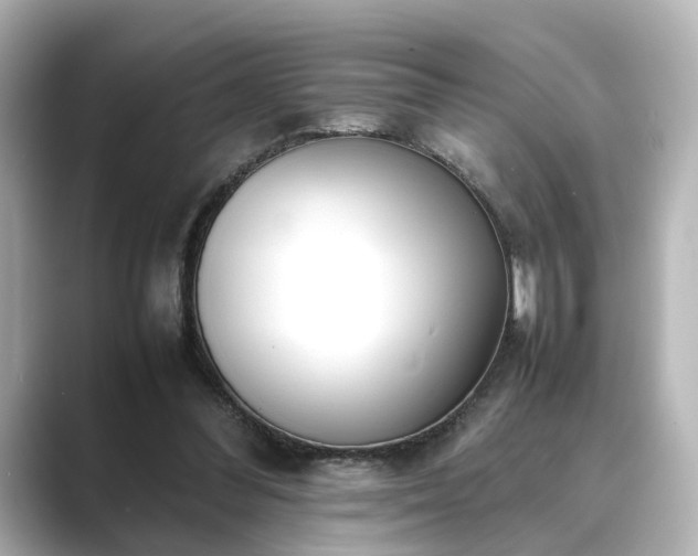 X0000089400300200706221122