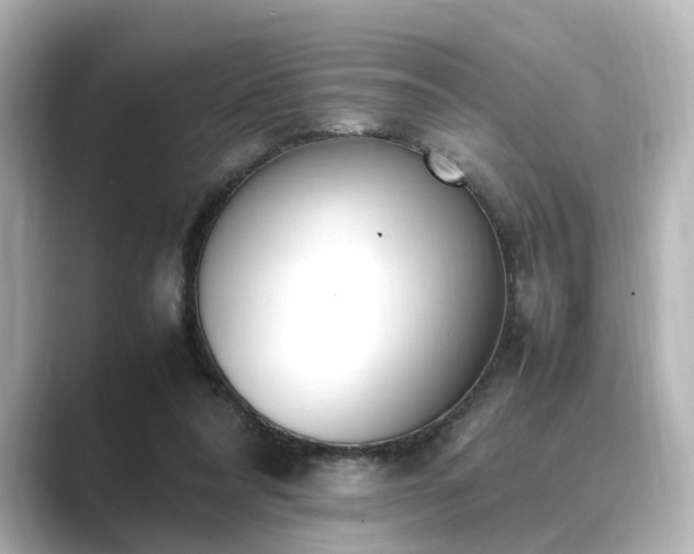 X0000089400304200706221122