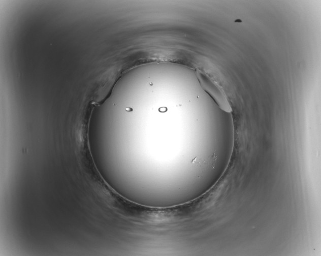 X0000089400305200706221122