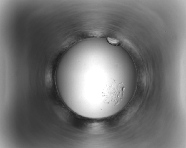 X0000089400312200706221122