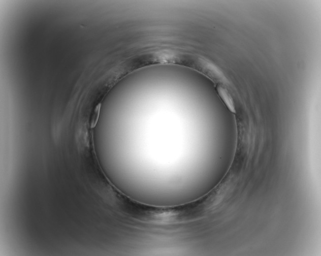 X0000089400313200706221122