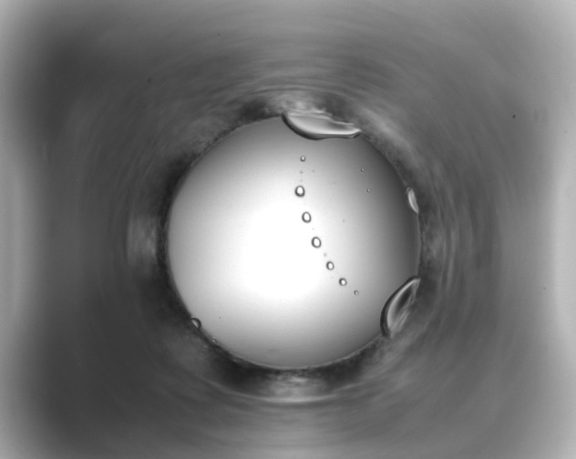 X0000089400315200706221122