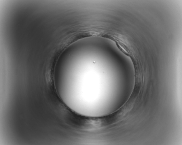 X0000089400317200706221122