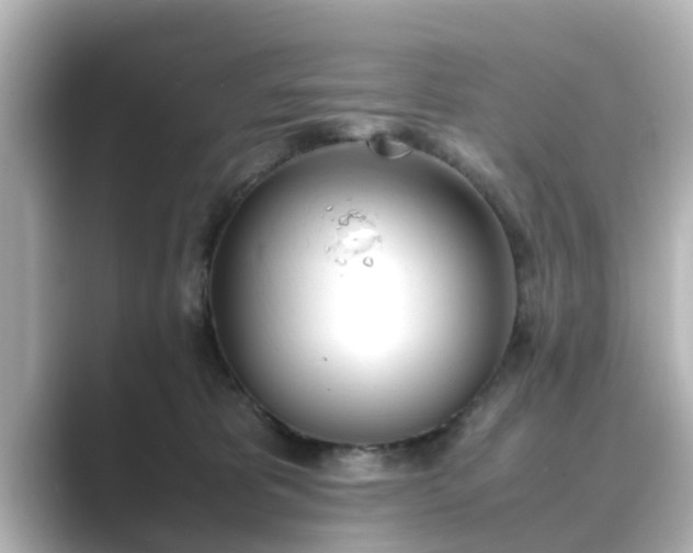 X0000089400325200706221122