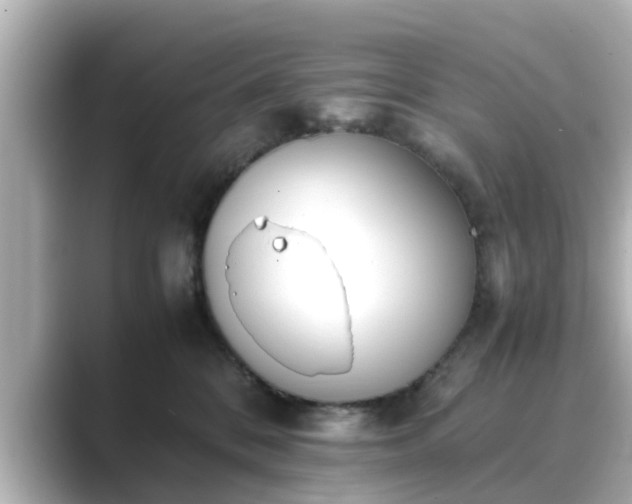 X0000089400328200706221122