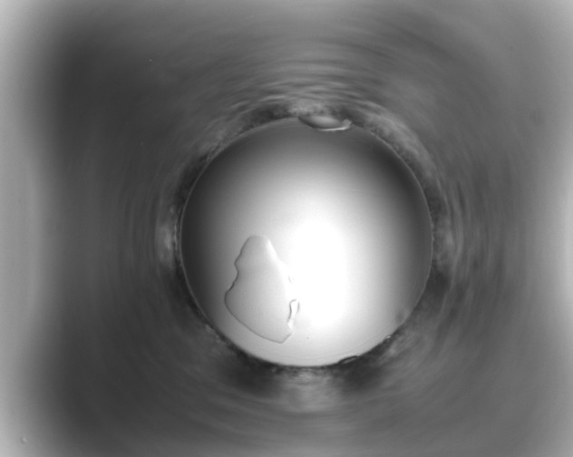 X0000089400329200706221122