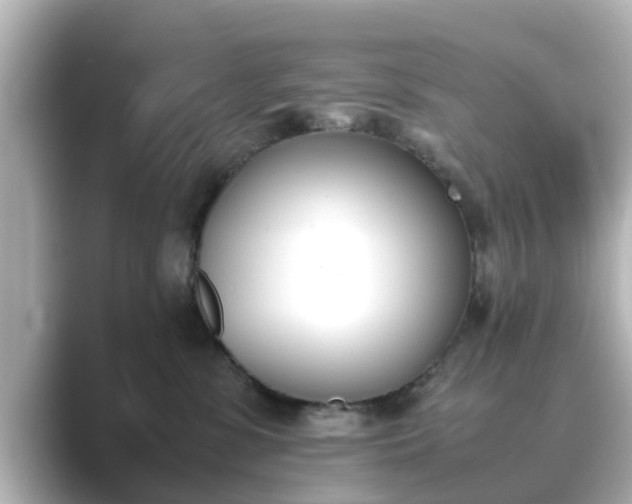 X0000089400331200706221122