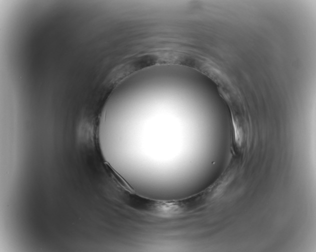 X0000089400333200706221122