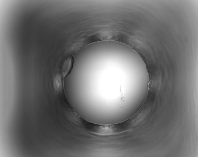 X0000089400335200706221122