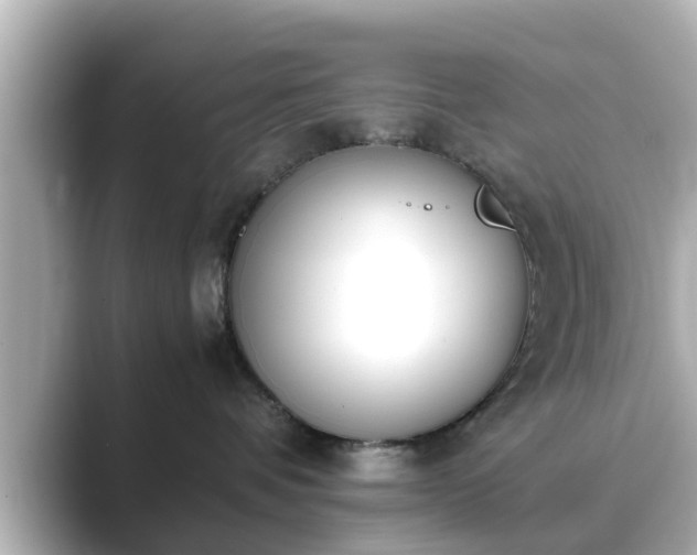 X0000089400336200706221122