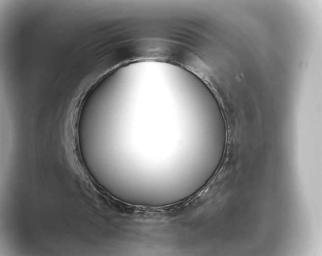 X0000089400337200706221121