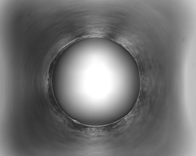 X0000089400338200706221121