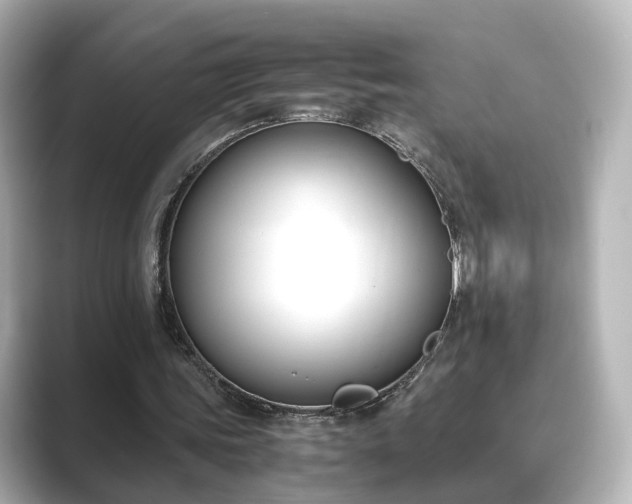 X0000089400339200706221121