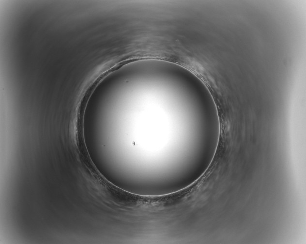 X0000089400340200706221121