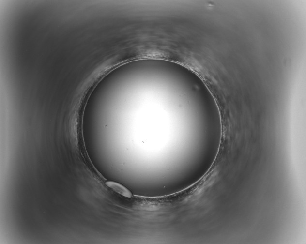 X0000089400341200706221121